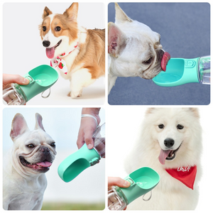 Outdoor Pet Dog Feeder: Travel Water Dispenser